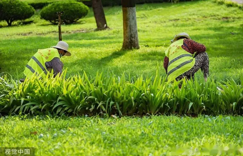 花草园林景观设计