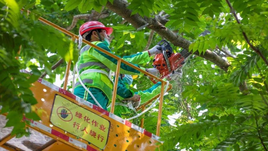 黄浦区宣传上海绿化工程大概费用