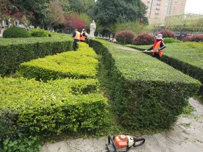 别墅园林景观设计中北方景观植物